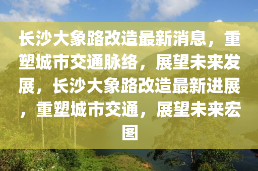 長沙大象路改造最新消息，重塑城市交通脈絡(luò)，展望未來發(fā)展，長沙大象路改造最新進(jìn)展，重塑城市交通，展望未來宏圖